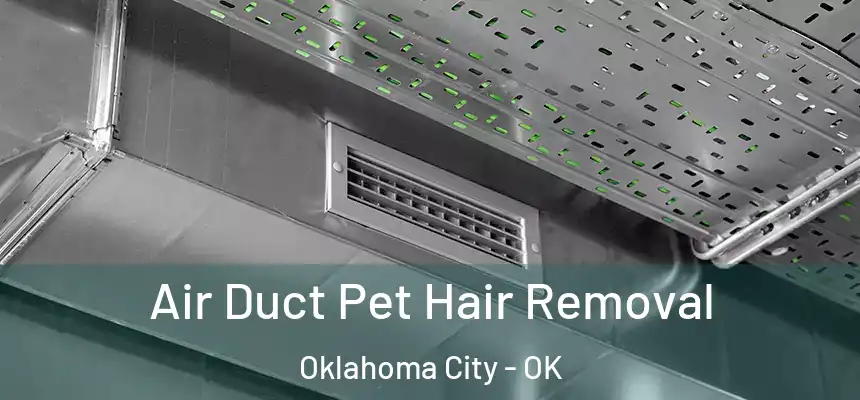 Air Duct Pet Hair Removal Oklahoma City - OK