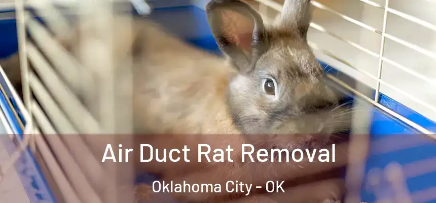  Air Duct Rat Removal Oklahoma City - OK