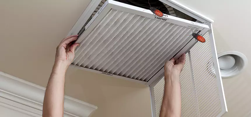 Preventive Cockroach-Proofing for Ducts in Oklahoma City