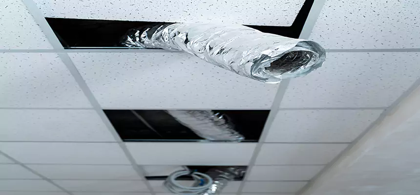 Our Air Duct Pet Hair Removal Services in Oklahoma City, OK