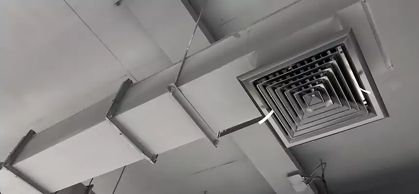 Our Rodent Droppings In Vents Services in Oklahoma City, OK