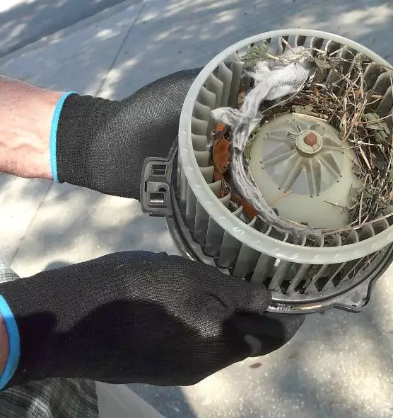 About Air Duct Mice Removal in Oklahoma City, OK