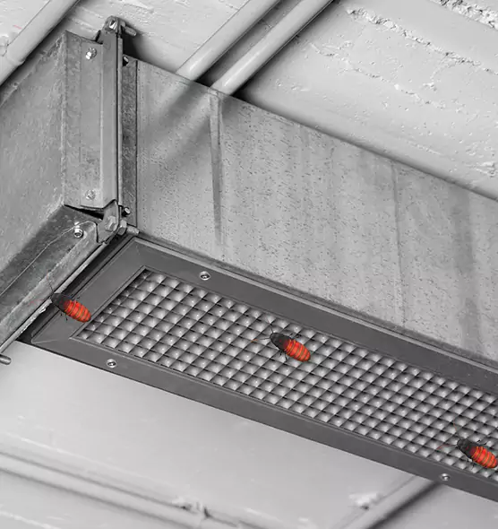 Affordable Insect Removal from Air Ducts in Oklahoma City, OK