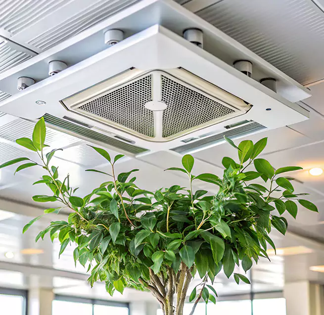 Why Homeowners & Businesses Trust Us in Oklahoma City, OK?