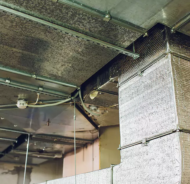 Why Homeowners & Businesses Trust Us in Oklahoma City, OK?